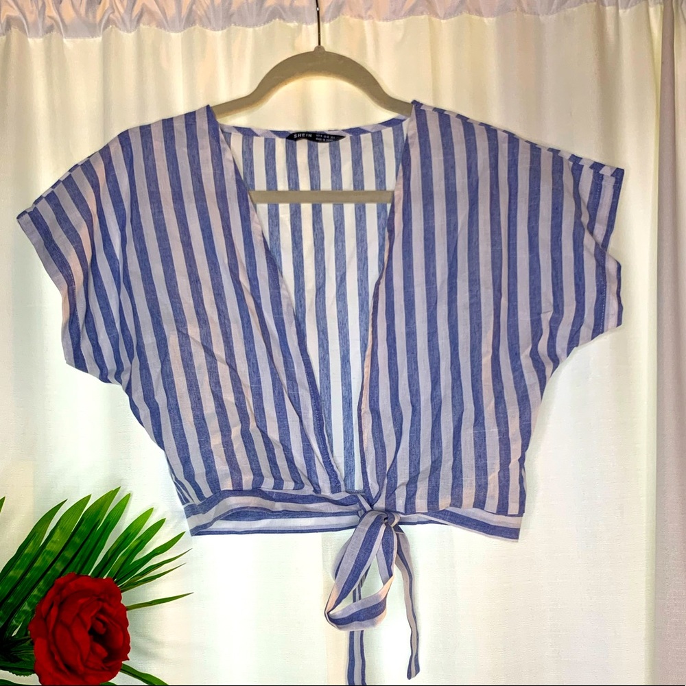 Deep Cut Tie Crop Top Blouse